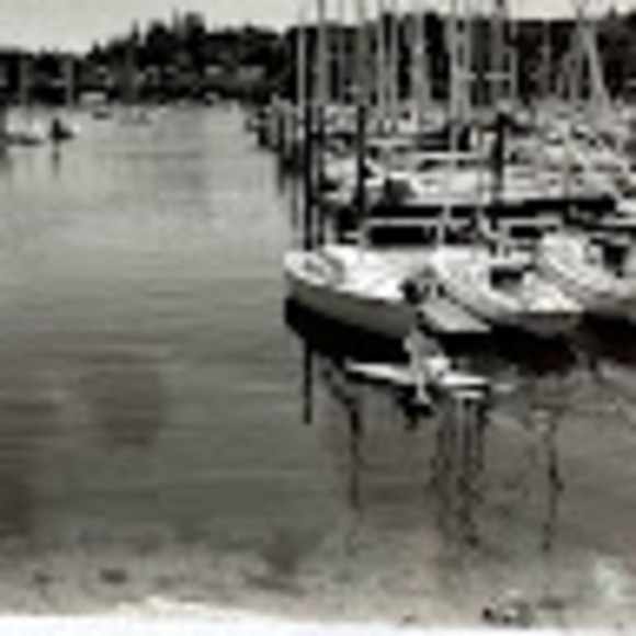 Meet your Posher, George - Picture 1 of 1